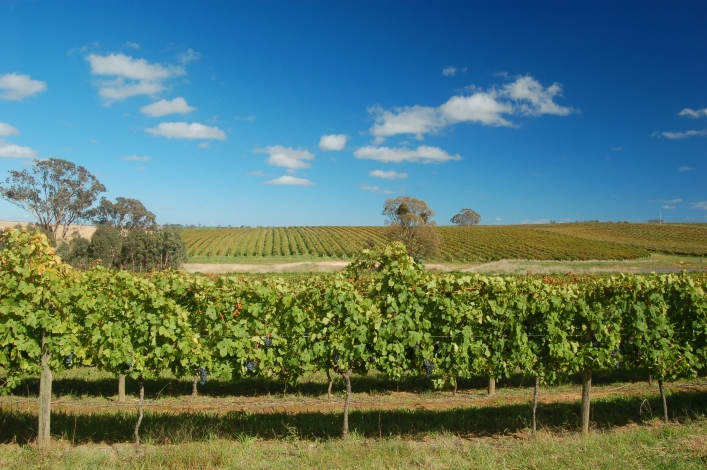 Hilltops, NSW, Australia